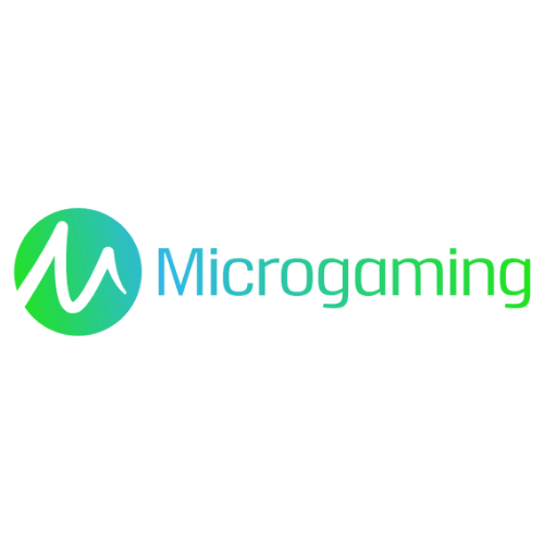 Top 10 des New Casino Microgaming